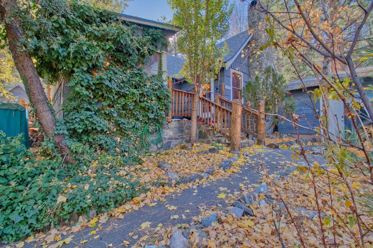 Ray'S Dear Cottage رايتوود المظهر الخارجي الصورة